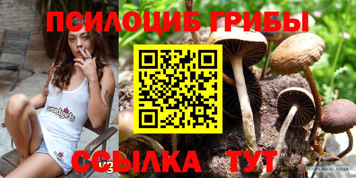 Псилоцибиновые грибы Psilocybine cubensis  Галлюциногенные грибы ЛСД  Вход с VPN  Нарьян-Мар 